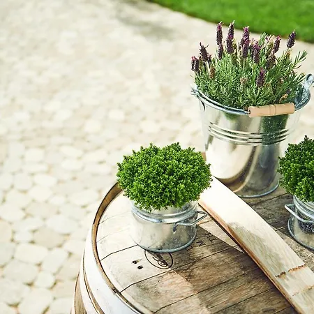 Alte Linde & Restaurant 3* آلين